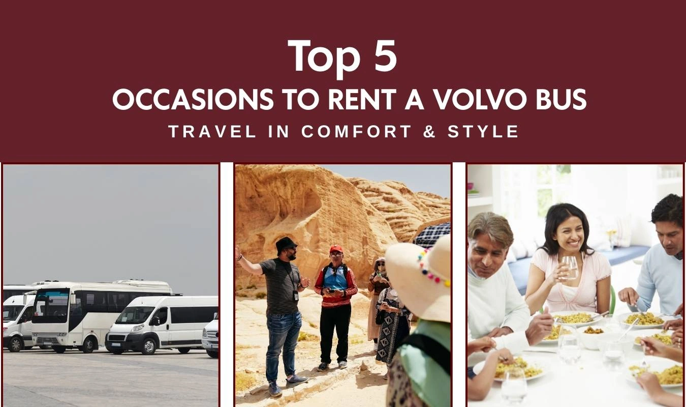 new year tour package